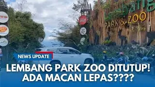 BREAKING! Beredar Informasi Macan Lepas di Kebun Binatang, Lembang Park Zoo Tutup Seketika
