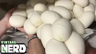 Вытаскиваем несколько яиц сетчатого питона