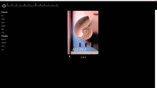 design basics final2