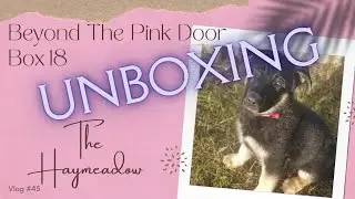 Beyond The Pink Door &ndash; Think Pink Sewscription Box No. 18 | Unboxing | Aussie Sewing Vlog | #45
