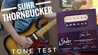 SUHR THORNBUCKER PICKUP SET || SOUND CHECK