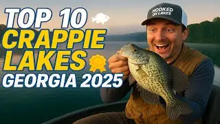 Top 10 Crappie Lakes in Georgia 2025