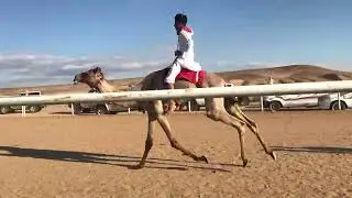 شوط الماراثون 