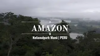 Amazon | Nationalpark Man&uacute; PERU