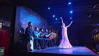 Flamenco in Madrid 