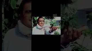 Sr NTR rare photos | Trendy Talky Talks #shots