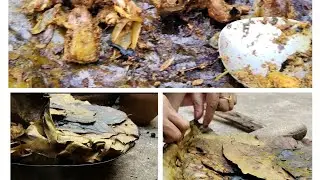  tasty ଦେଶୀ ଚିକେନ ପତ୍ର ପୋଡା 🌿🍗 #youtubevideo #food #cookingtips #cooking #viral #mhacommunity 