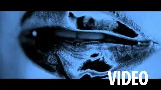 Bruns Lay - No Response (Official Video)