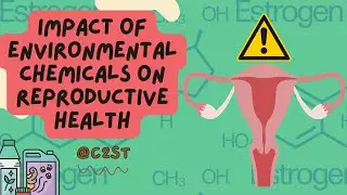 The Impact of Environmental Chemicals on Reproductive Health
