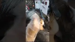 synthetic colour / metallic colour #haircutting # gray hair coverage tutorial # stubborn haircolour