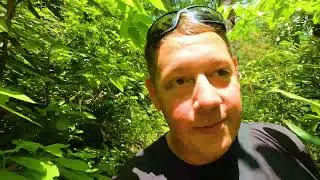 First Hike In The US: Licklog & Pigpen Falls