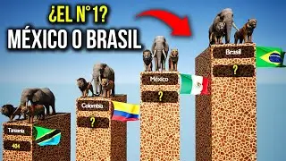 Los Países con MÁS Mamíferos del Mundo 🌍 El #1 Te Va a Sorprender