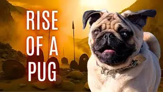Pug vs The Vacuum — The Battle of the Hallway #speakpug