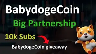 BabydogeCoin Listing on Bitgert Exchange | Babydoge Big Partnership | Babydoge Giveaway