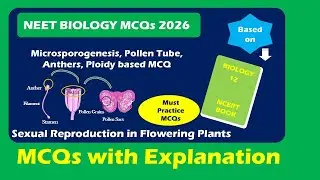 NEET Biology 2026 | Microsporogenesis & Ploidy of Microspore Tetrad | NCERT MCQ Explanation #cbse12