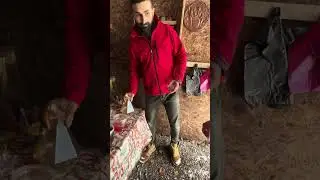 Tasting Mountain Honey in Georgia |TBILISI |TRAVEL |TOUR