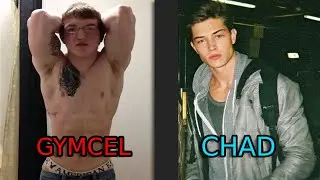 Gymcel VS Chad (brutal)