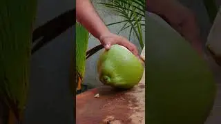 fantastic coconut cutting