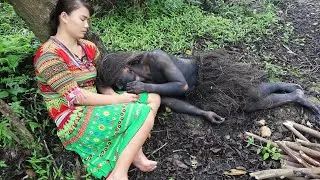 Full Video Find Food In The Forest Meet The Forest Man - Cooking 60 Days In Primitive Life