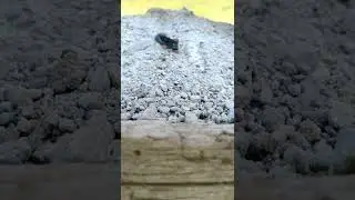 hot wheels fall off the cliff #hotwheels #diecast #cars