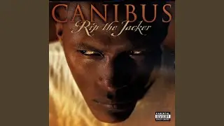 Levitibus