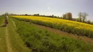 Koldinger Seen (8)