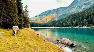 Hiking Around the Stunning Obernberger See | Hidden Gem in the Austrian Alps 🥾⛰️