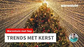 Trends met Kerst