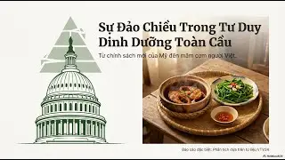 Đảo Chiều Tháp Dinh Dưỡng Toàn Cầu 2026|KHOA HỌC VÀ THỰC NGHIỆM