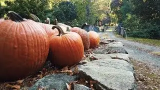 6 Places To Visit In SLEEPY HOLLOW, NY [ Washington Irving] | In Literature