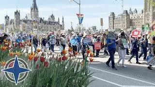 The state of Canada&rsquo;s pro-life movement (feat. Alissa Golob)