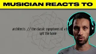 Reaction | Architects - 