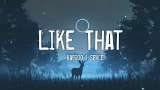 Baegod & Sbvce -  Like That
