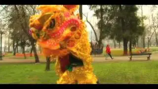 DANZA DEL LEON
