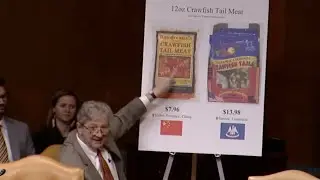 Kennedy questions Raimondo on imported seafood and crawfish in Appropriations