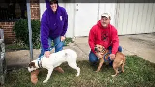 Mikey Rosetta Dog Rescue Flight