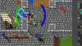 700 ED die, and coming so, he die again Wacha Stream - Tibia Vunira