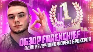 Обзор ForexChief.  Один из лучших форекс брокеров | Реальные отзывы клиентов