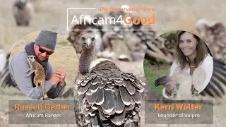 Africam4Good | World Vulture Day
