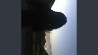 Make it back
