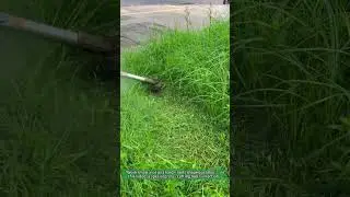 Special Tool for Grass Cutting - Efficient Lawn Care