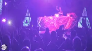 Zyce Live @ Exit Festival 2018 (After Movie)