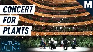 This Opera House Threw A Concert For Plants | Future Blink