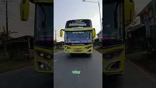 Tabola Bale Boss Muda #telolet #basuri #busmania #buspariwisata #maniasubang