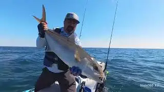 Giant Amberjack Greater catcher with Ballyhoo Rigging on the Jet Ski  FishPro