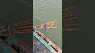 Village fishing Video 🐬 Boat fishing video 🌻( part_209) #fishing #shorts #trending #fish #boat