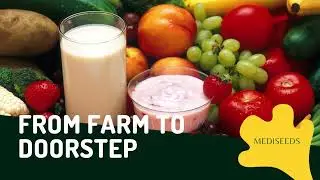 From Planning to Profit: Exploring Farm Management Services