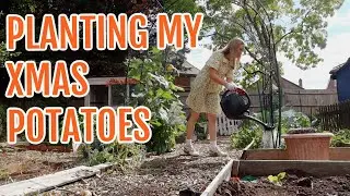 #ad PLANTING MY XMAS POTATOES WITH COOLJOB/ EMMA'S ALLOTMENT GARDEN AUGUST 2022