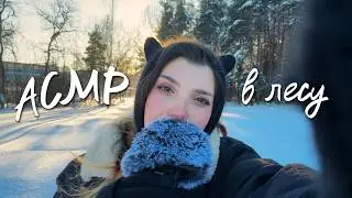 АСМР ❄️ в зимнем лесу | ASMR in the winter forest ✨ beatrisiusasmr