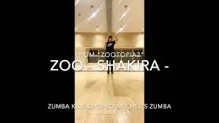 Zoo - Shakira - from 